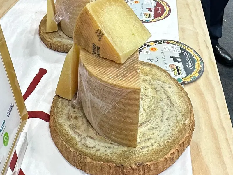 Fromage manchego