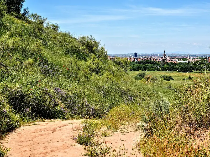 Collines d'Alcalá