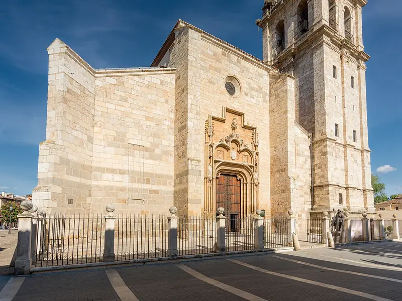 Cigognes de la cathédrale