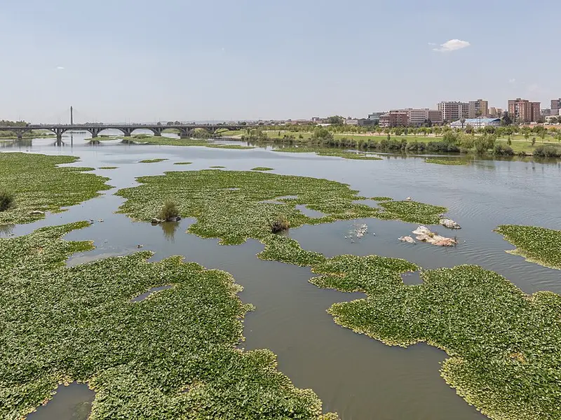 Bords du Guadiana