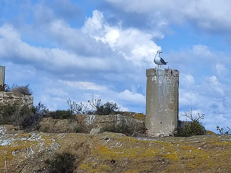 Îles Columbretes