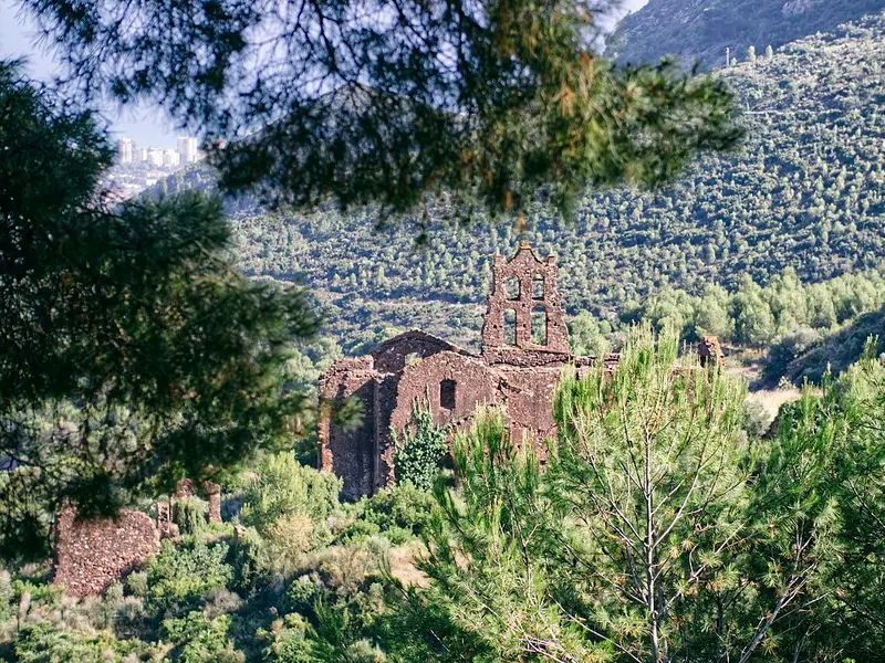 Desert de les Palmes