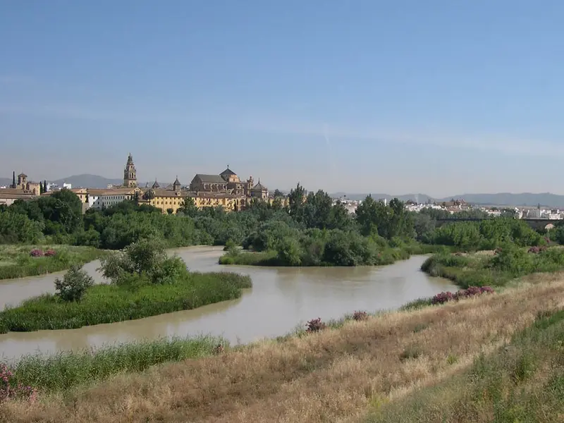 Bords du Guadalquivir