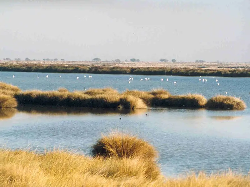 Doñana à une heure