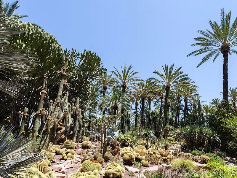 Huerto del Cura