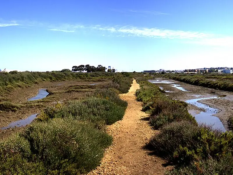 Marais de l'Odiel