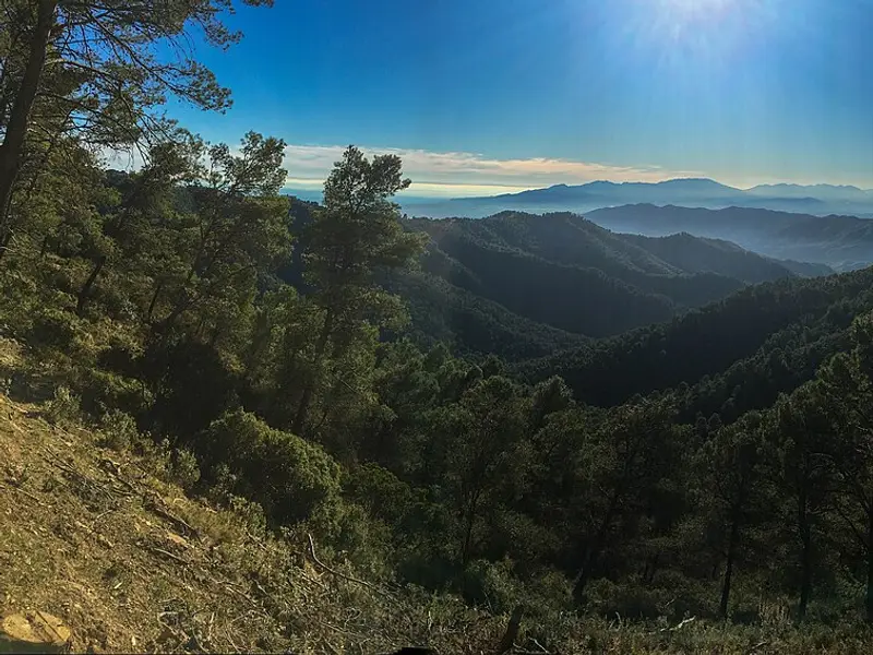 Montes de Málaga
