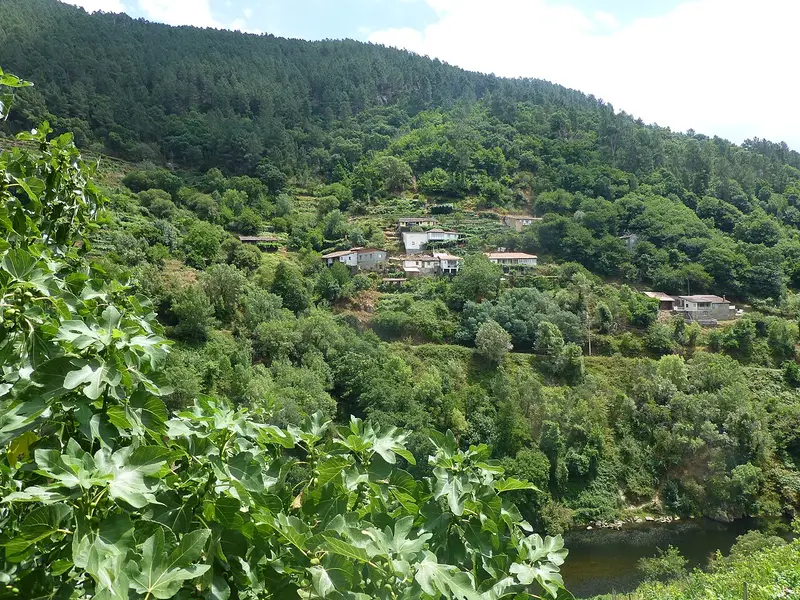 Ribeira Sacra