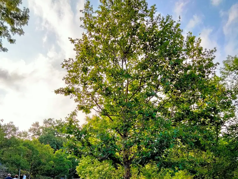 Parc de Vallparadís