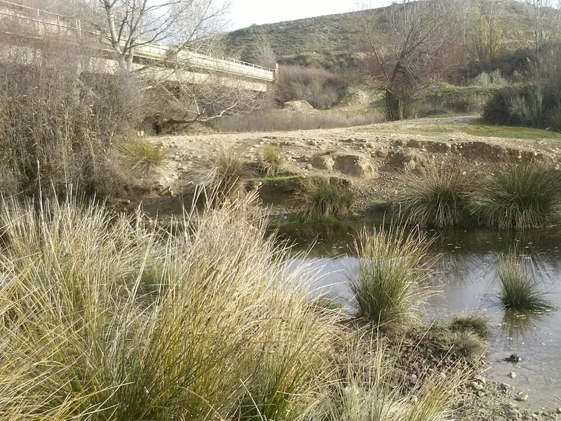 Bords du Henares
