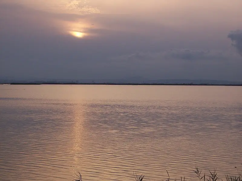 Albufera