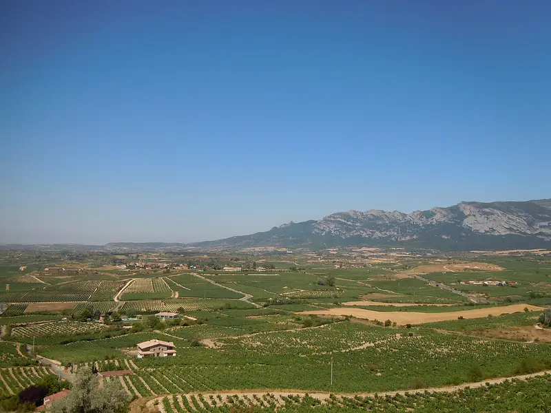 Vins de la Rioja Alavesa