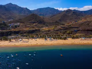 Canaries
